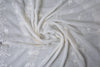 Chiffon Embroidered Dupatta (DS-Dupatta-57)
